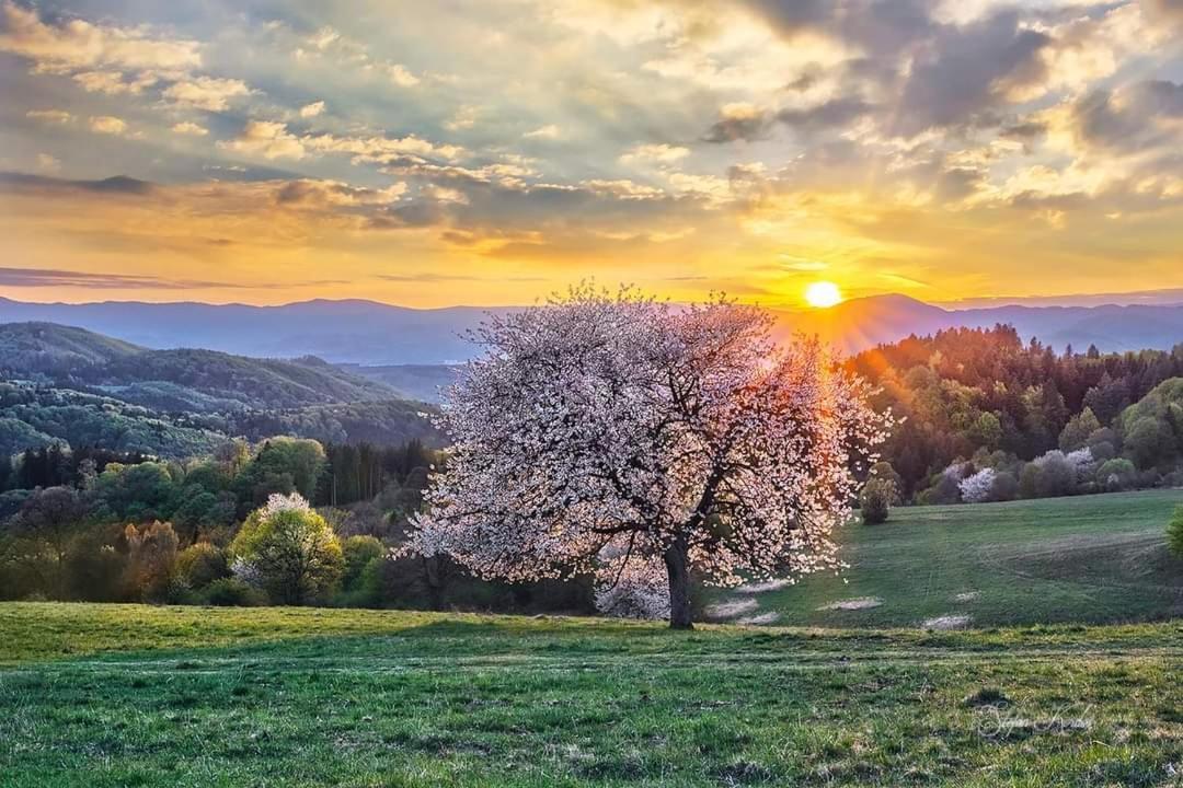 Penzion** Amalka Hriňová エクステリア 写真