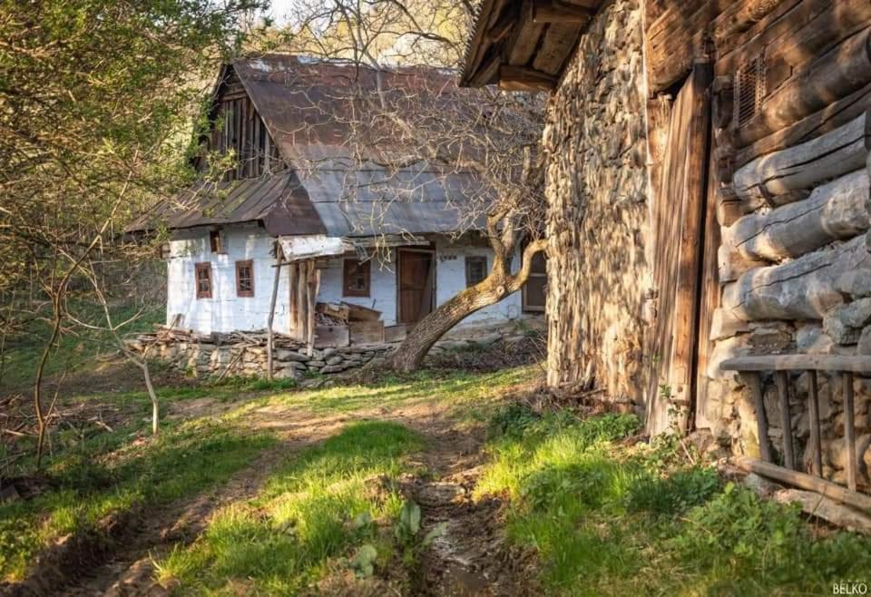 Penzion** Amalka Hriňová エクステリア 写真